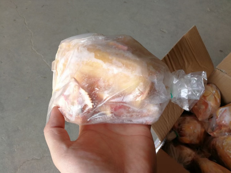三黄鸡，西装鸡公鸡老母鸡