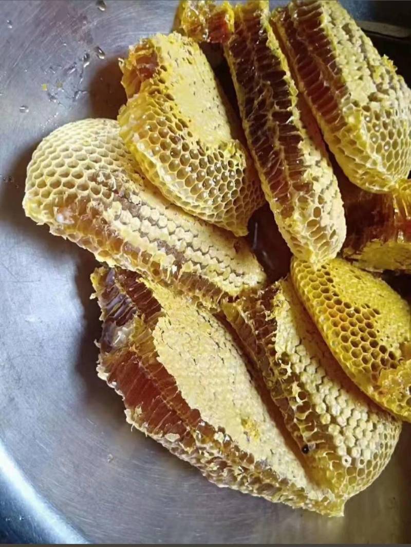 正在土蜂蜜