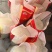 东北五常稻花香