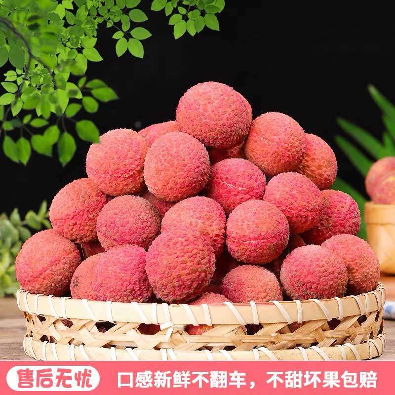 广东东莞大量荔枝上市，桂味，糯米糍，欢迎采购预定