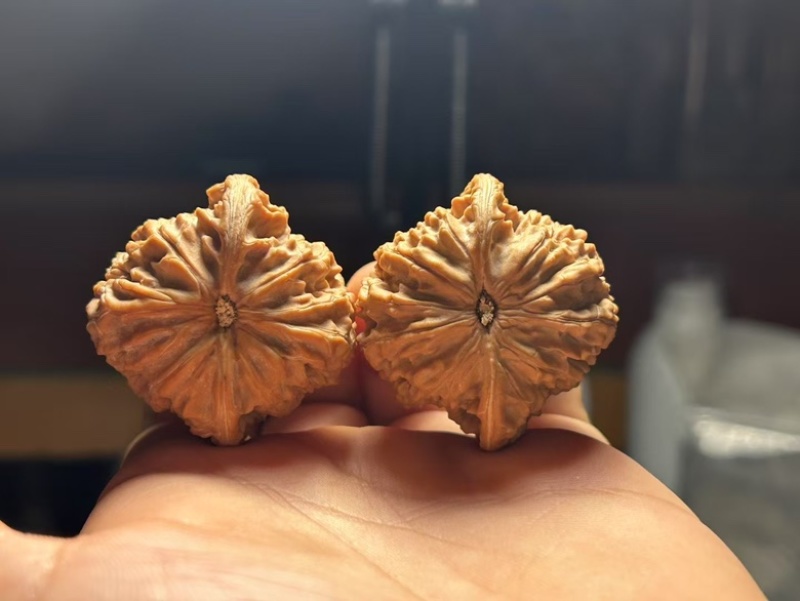 文玩核桃