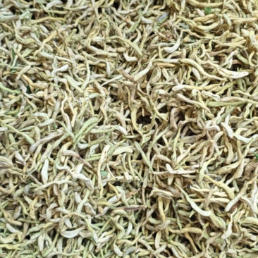 干金银花