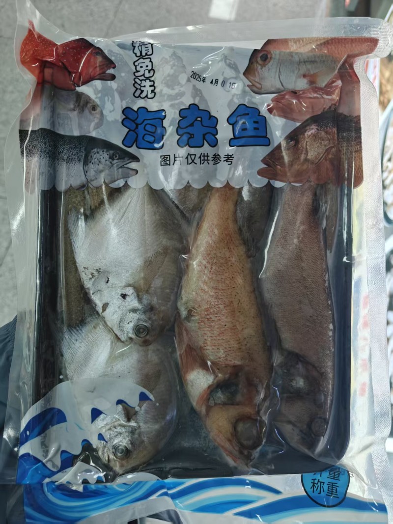 海杂鱼