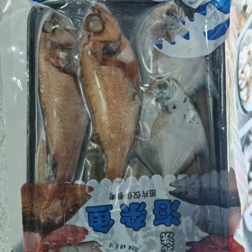 海杂鱼