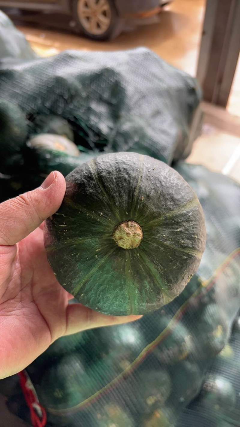 贝贝瓜低价甩卖