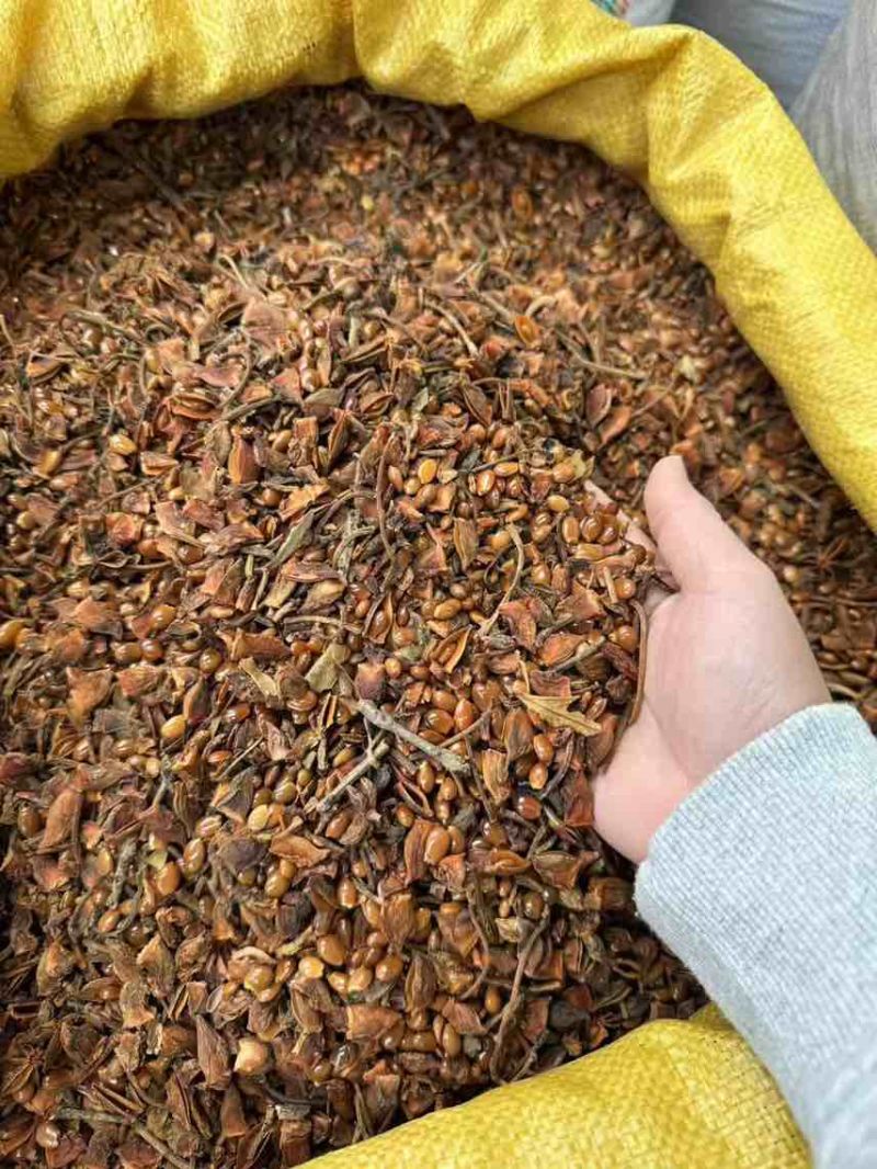 八角碎片统货，量大质优，卤味增香必备之选