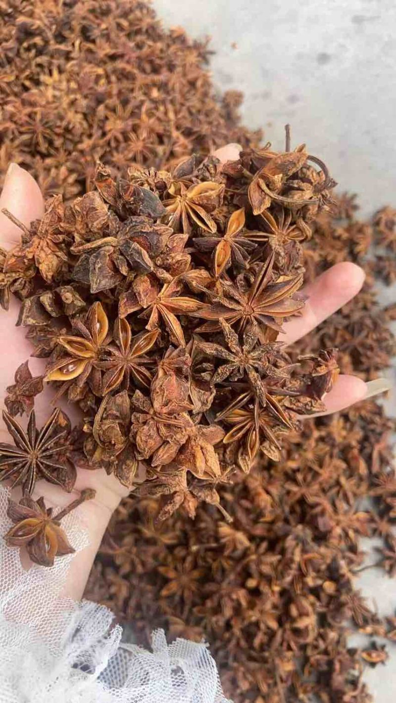 百色大个头大红八角，天然晾晒，源头好货速抢