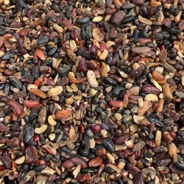 熟杂豆蒸熟工艺无沙土石蛋白25%脂肪3.5%水