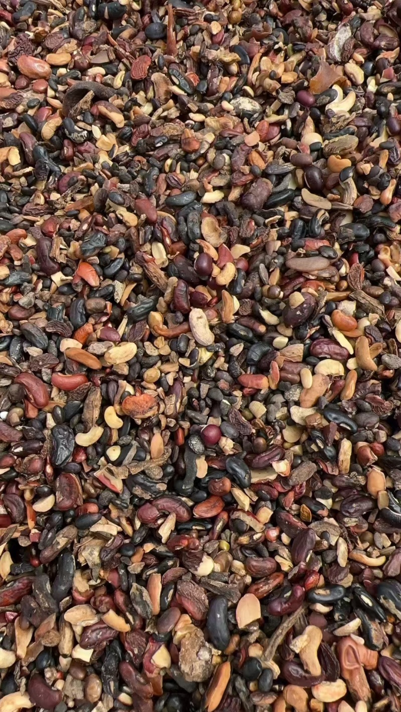 熟杂豆蒸熟工艺无沙土石蛋白25%脂肪3.5%水