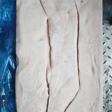 脊膘