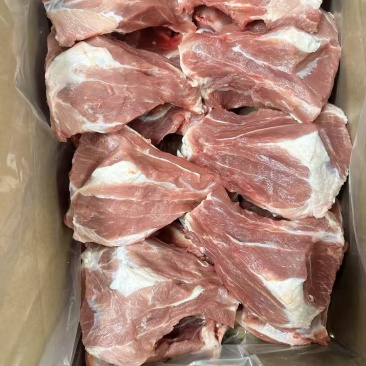 扇子骨