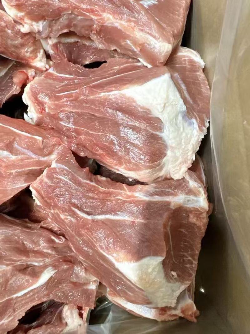扇子骨