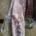 大排