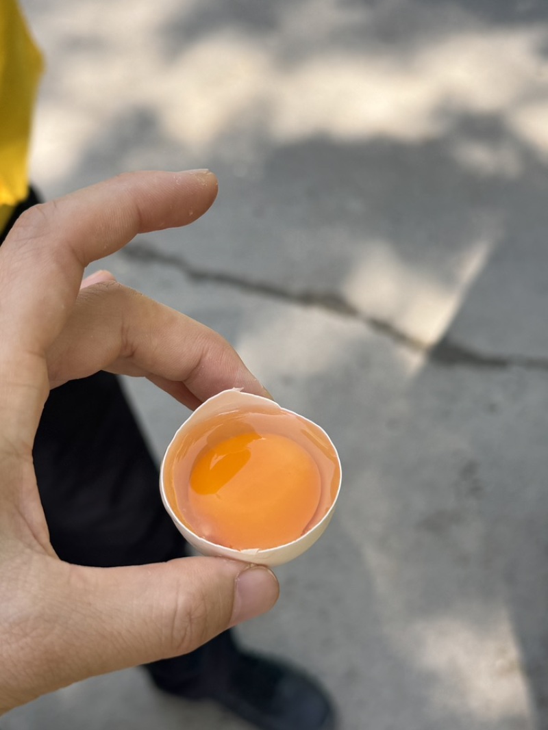 富硒无抗可生食鸡蛋