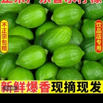 一级杲