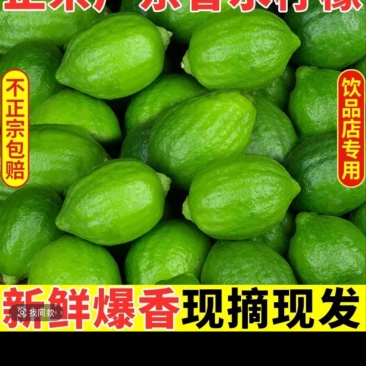 一级杲