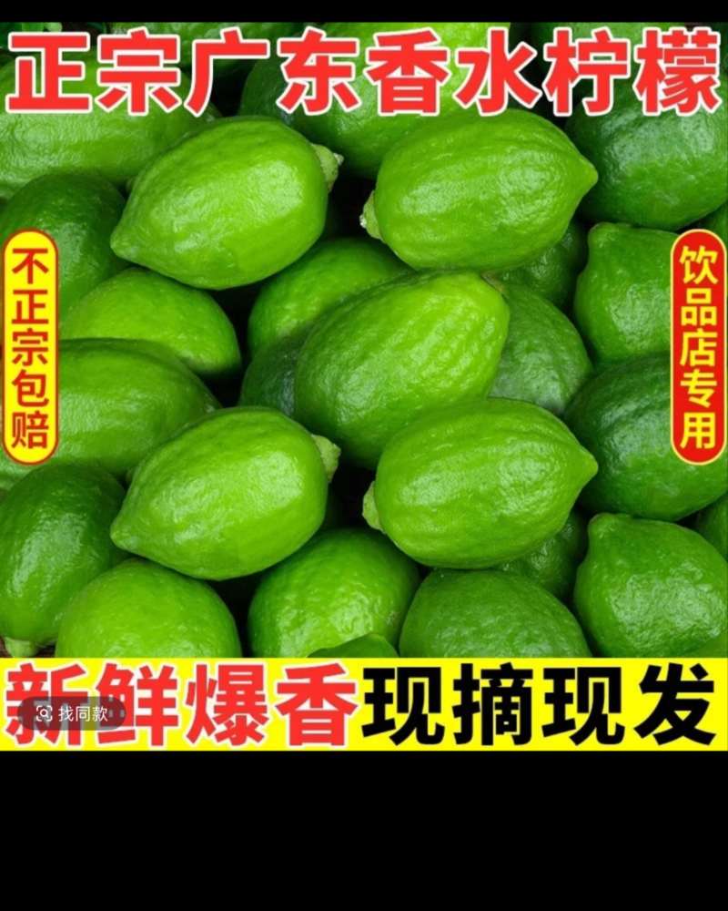一级杲