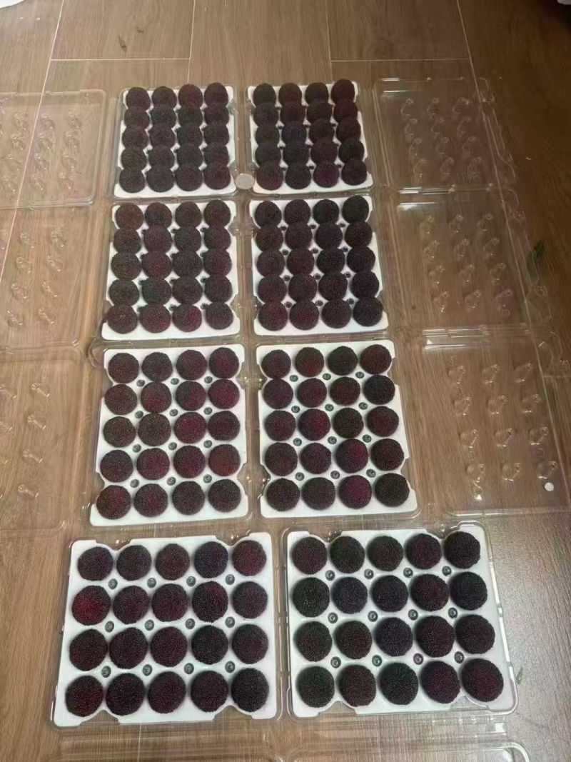 杨梅兰溪