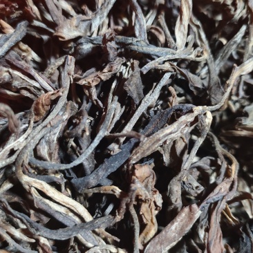 西双版纳勐海普洱茶