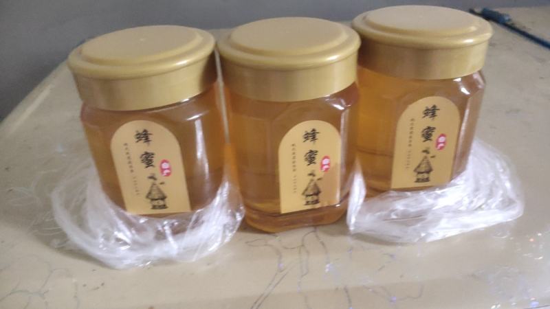 四川土蜂蜜