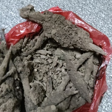 紫霄花
