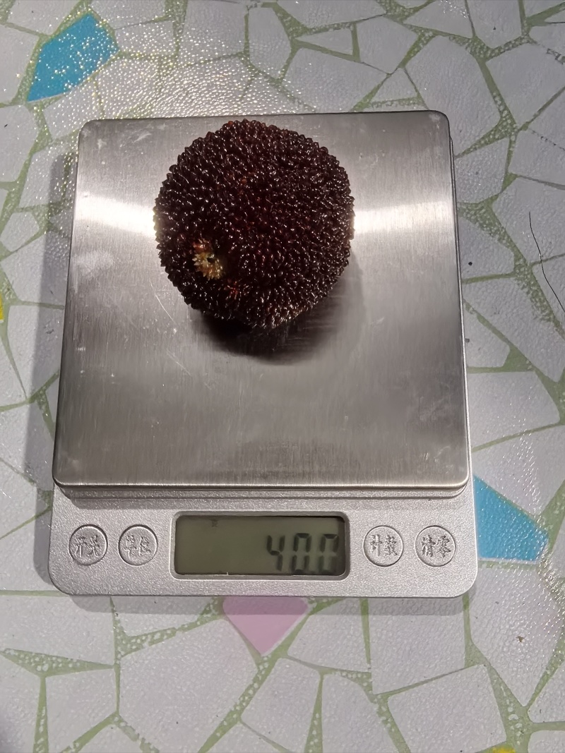 仙居东魁杨梅