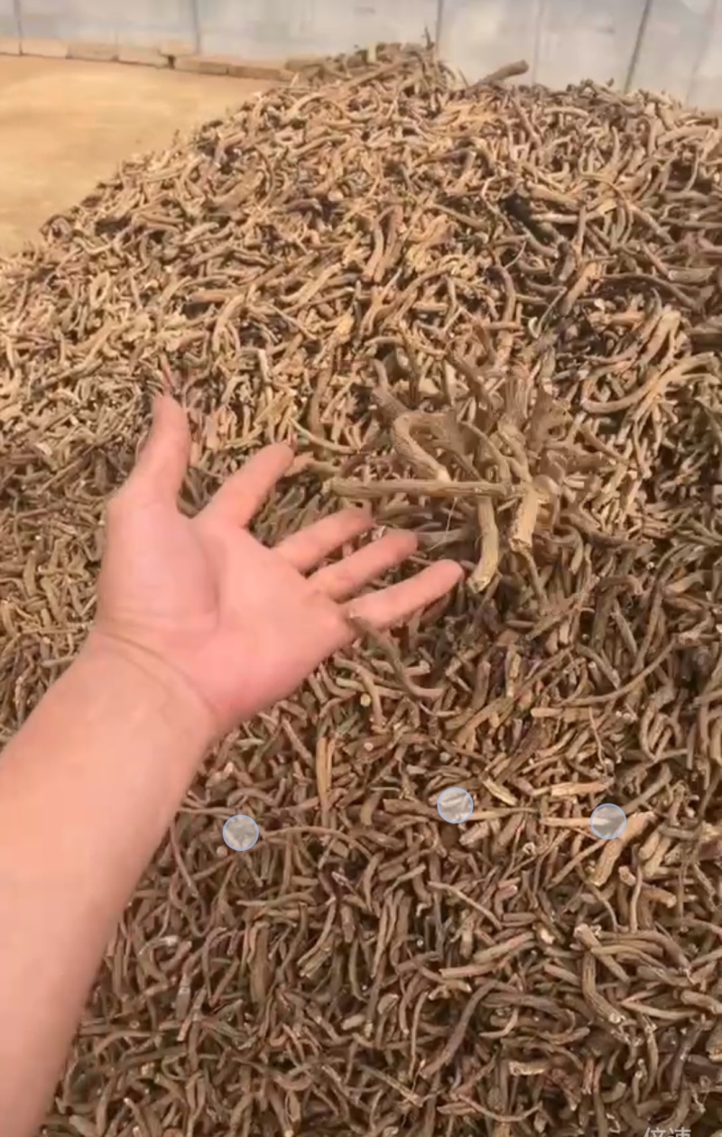 各种规格的云木香