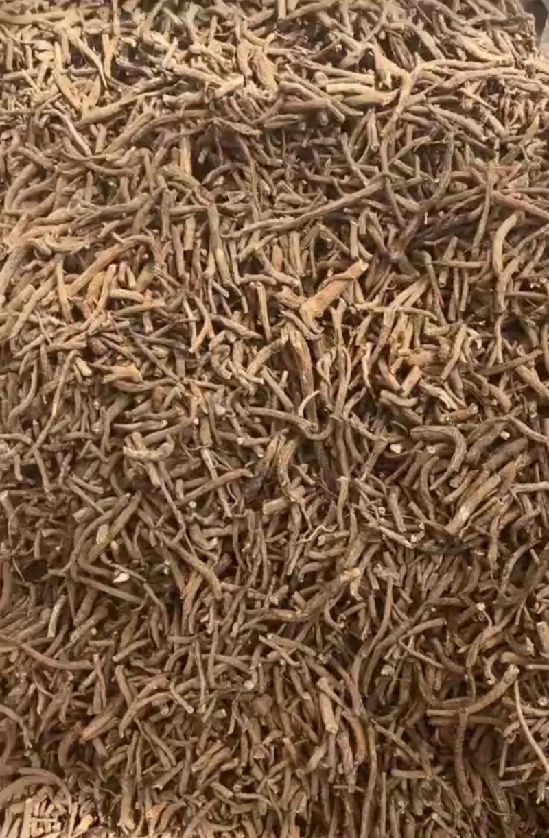各种规格的云木香