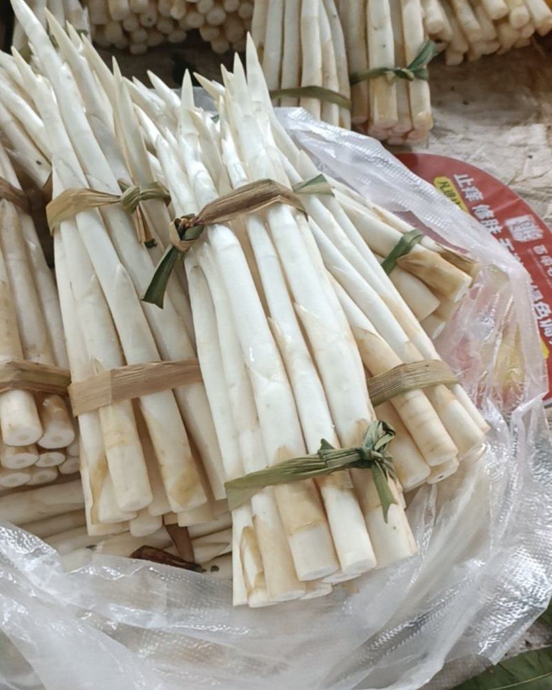 蒙自草牙