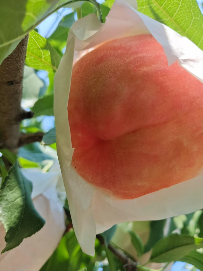 三两起通货