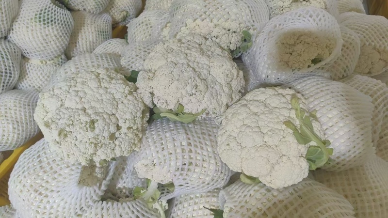 精品有机花菜大掉价大掉价
