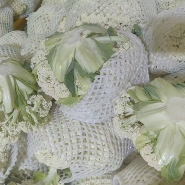 精品有机花菜大掉价大掉价