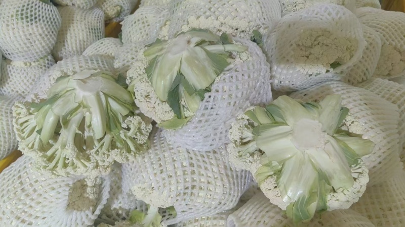 精品有机花菜大掉价大掉价