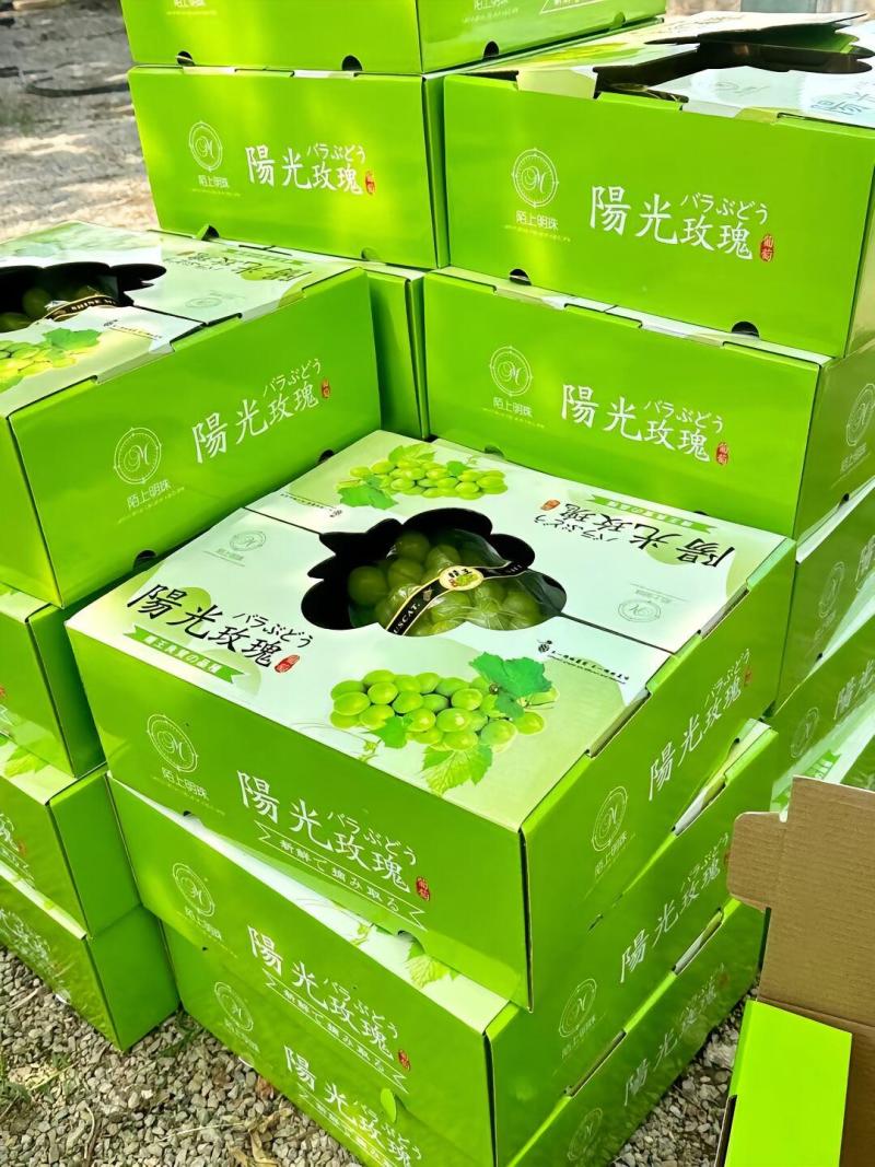 阳光玫瑰葡萄自家种植果粒均匀量大优惠喜欢的赶紧下单了