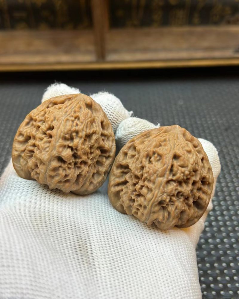南疆石接受预定