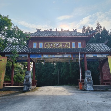 麻江蓝莓