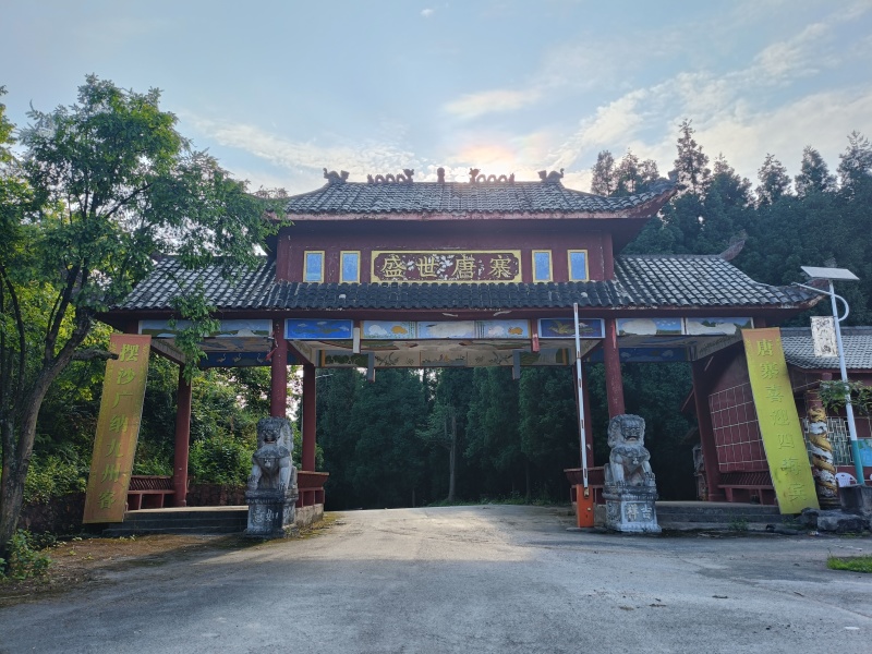 麻江蓝莓