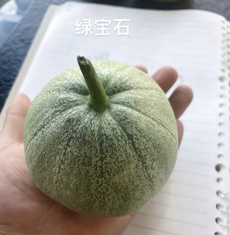 绿宝石甜瓜