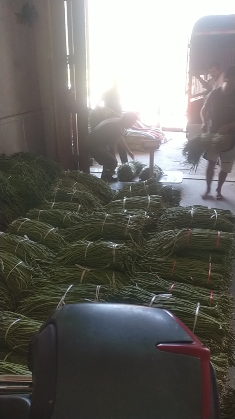 大量上市缸豆有需要的联系我