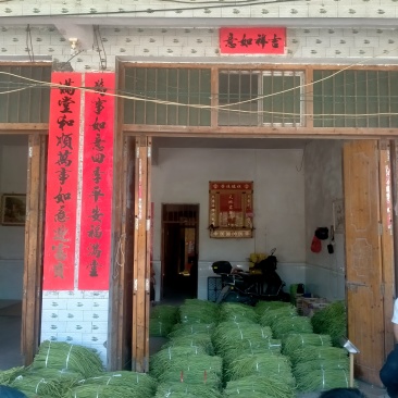 大量上市缸豆有需要的联系我