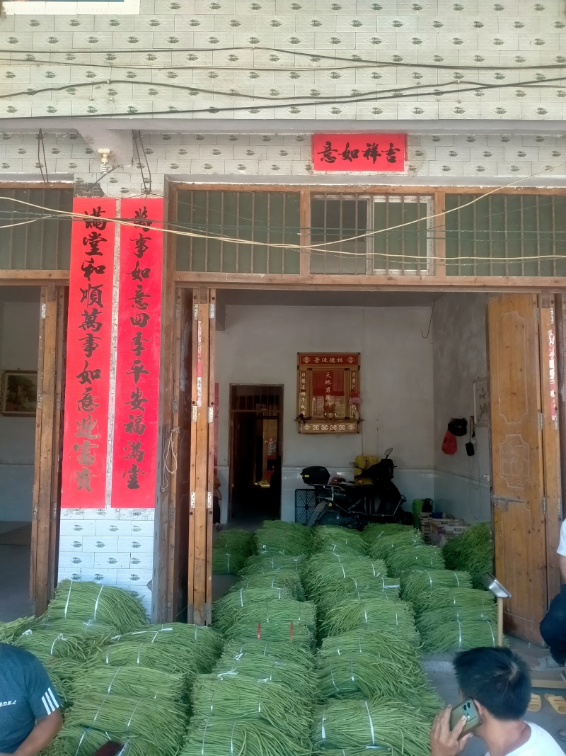 大量上市缸豆有需要的联系我