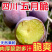 四川五月脆凤凰李子脱骨李产地直发专业对接电商果多多美团仓