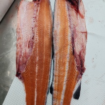冻红鳟