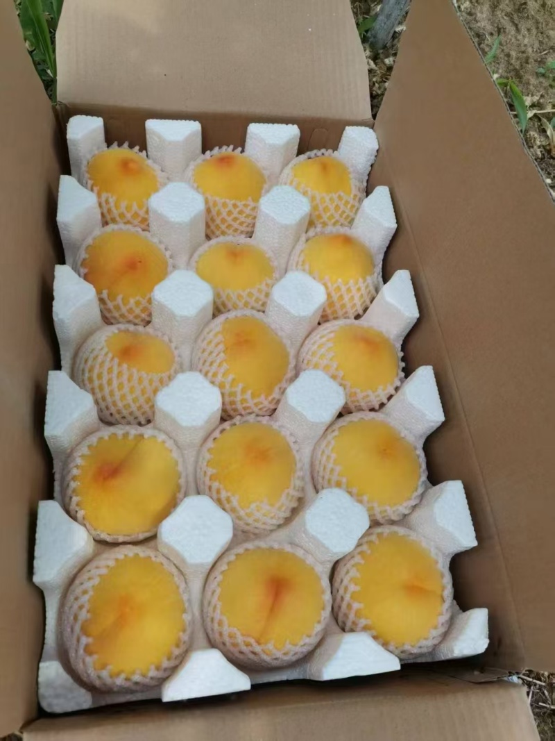 湖北黄桃锦绣黄桃黄金蜜，黄金油蟠桃，U九，供应电商