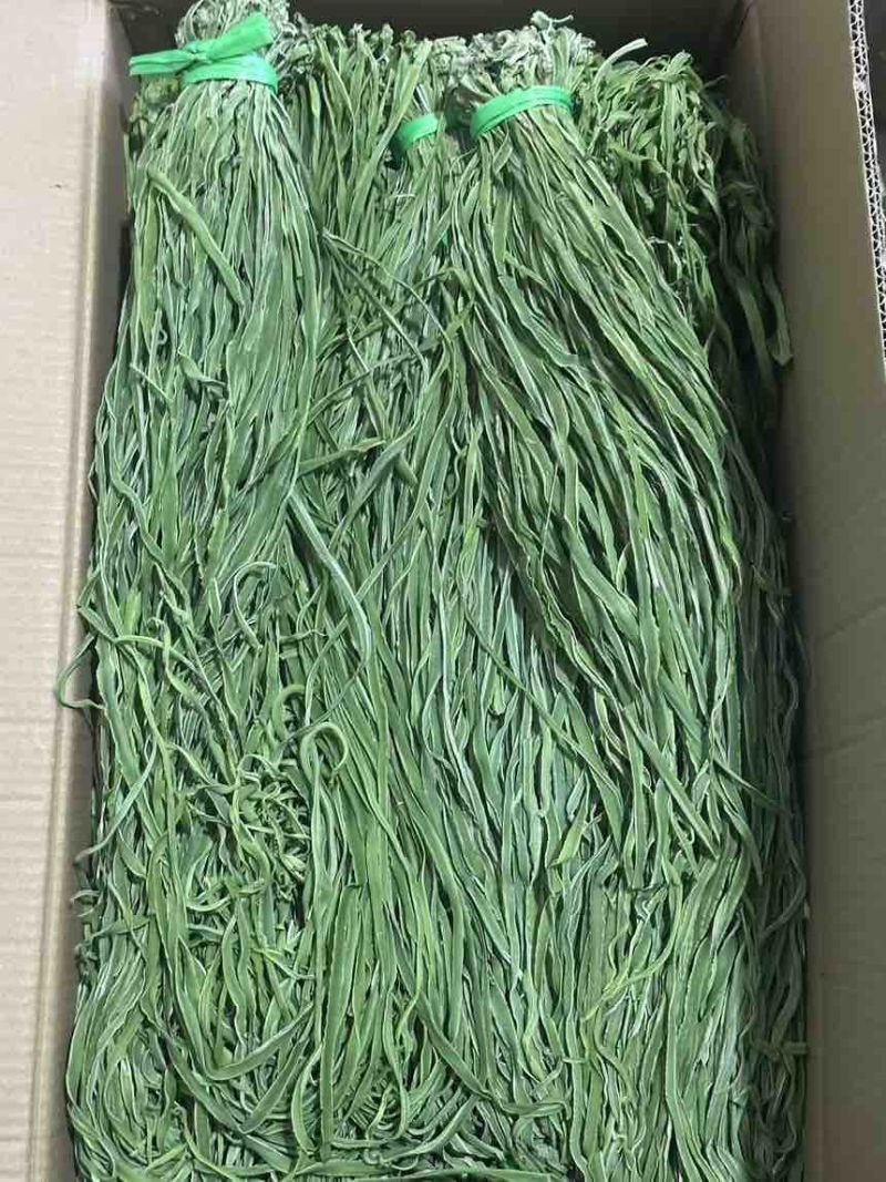 精品高原贡菜干，精选贡菜，营养美味，老少皆宜