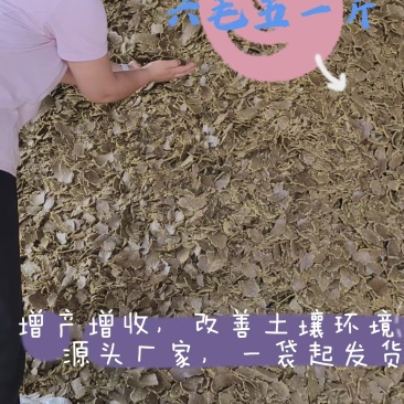 棉籽饼