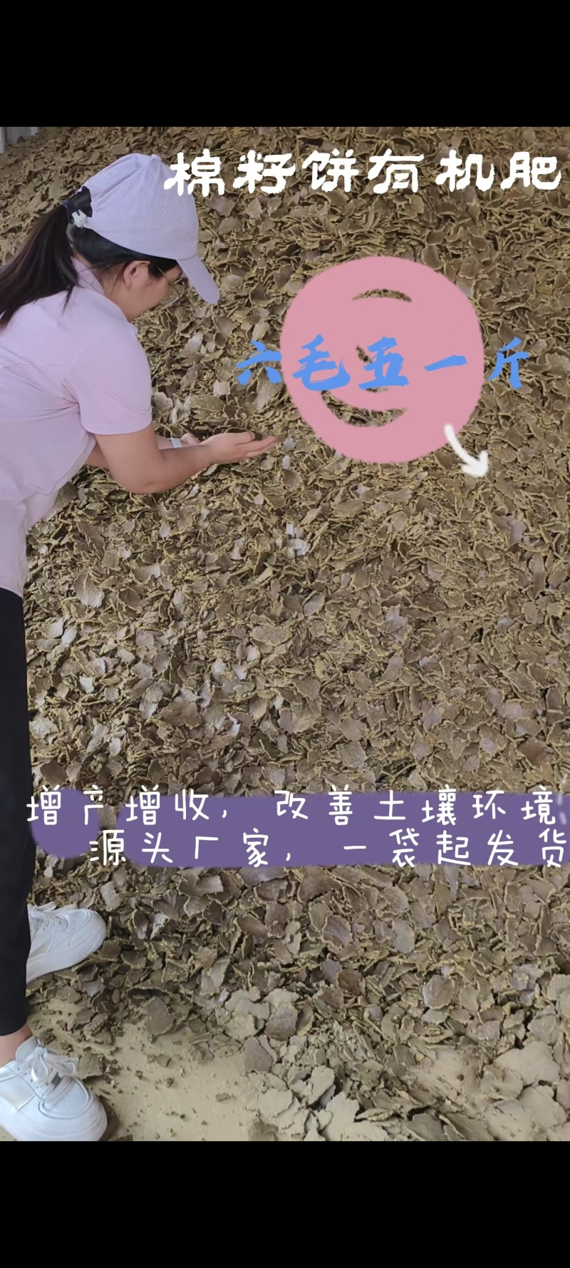 棉籽饼