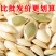 南瓜子批发代发电商