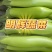 山东省潍坊市青皮绿长茄