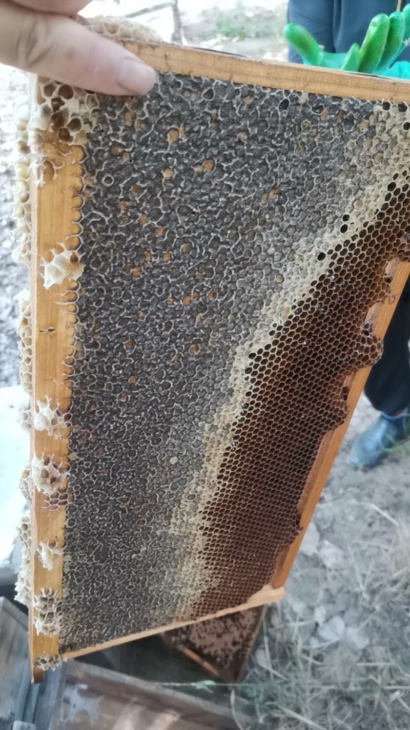 纯正百草蜂蜜